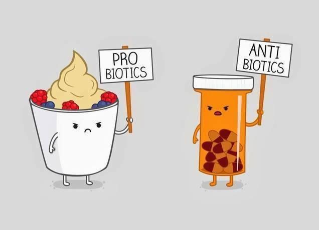 czym są probiotyki